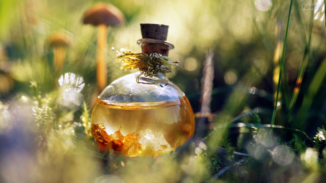 Индивидуальный мастер-класс по созданию парфюма на основе эфирных масел в Красноярске - фото, цена
